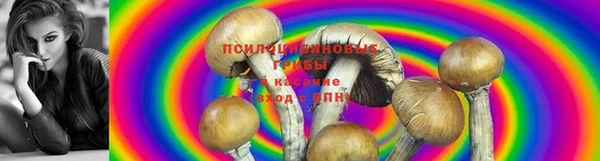 крисы Бронницы